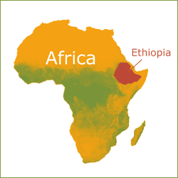 Ethiopia in the Horn of Africa.