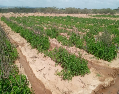 Waterproject Somaliland — Nieuwsbrief 3